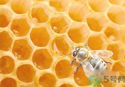 ​蜂胶有激素吗？蜂胶吃多了会怎样？