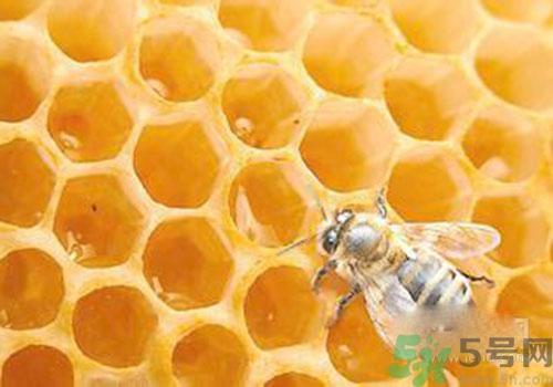 蜂胶有激素吗?蜂胶吃多了会怎样? 蜂胶有激素吗?蜂胶吃多了会怎样?