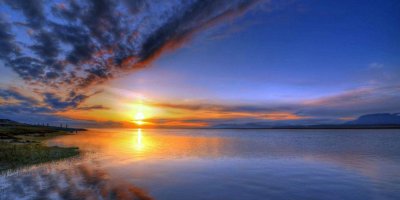 ​手机高清壁纸：笑看浮沉霜华落，叶隐归心流梦酣