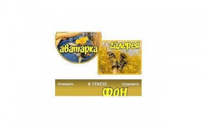 ​摩羯男对有好感的女生，是怎样表现的