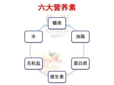 ​六大营养素包括哪些（关于六大营养素）
