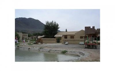 ​女生说你请我喝奶茶呗该怎么回复？