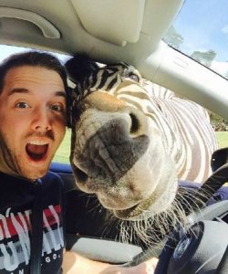 ​头头是道打一个动物,头头是道代表什么生肖