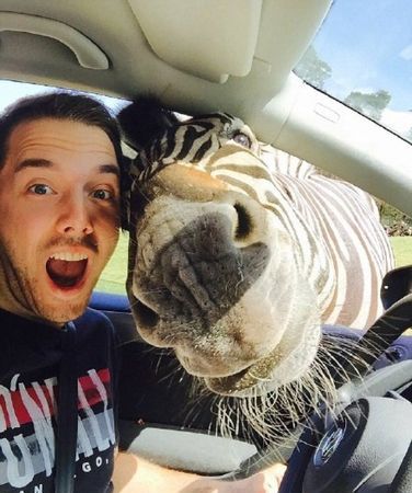 头头是道代表什么生肖