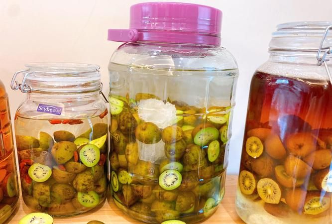 猕猴桃做酒需要催熟吗