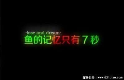 ​鱼的记忆只有7秒吗？专家研究比7秒长的多
