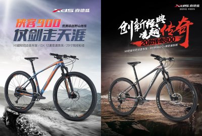 ​同样是8000元左右，喜德盛侠客900和传奇800，你会怎么选？