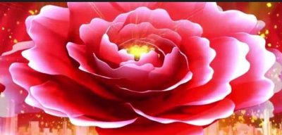 ​前女友彻底跟我断了联系（一旦断了联系）