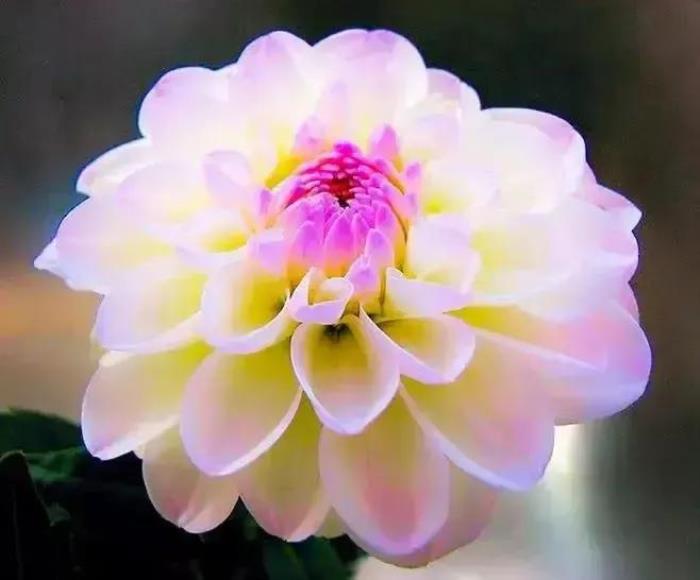 前女友彻底跟我断了联系(一旦断了联系)