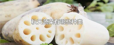 ​秋冬季的蔬菜有哪些 秋冬蔬菜有哪些品种