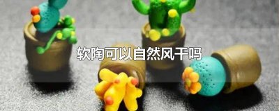 ​软陶先上色还是先风干好 软陶先上色还是先风干再上色