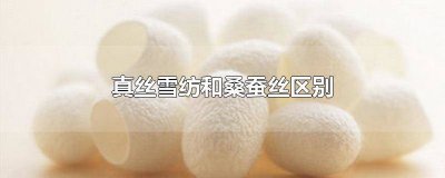 ​真丝雪纺和桑蚕丝区别和价钱 真丝雪纺和桑蚕丝区别