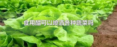 ​食用醋可以喷洒各种植物吗 食用醋可以喷洒各种花草吗