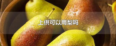​上供可以用梨吗