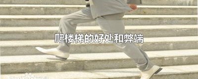 ​爬楼梯的好处和弊端