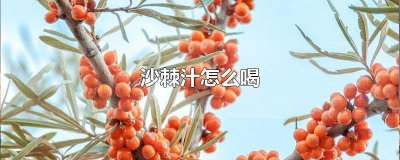 ​沙棘汁怎么喝