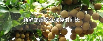 ​新鲜龙眼怎么保存时间长