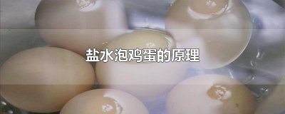 ​盐水泡鸡蛋的原理