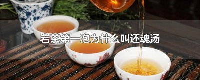 ​岩茶第一泡为什么叫还魂汤