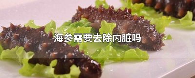 ​海参需要去除内脏吗