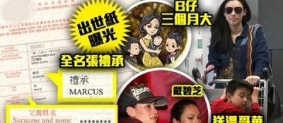 ​张柏芝第三个娃是谁的(张柏芝三胎儿子姓名被曝光)