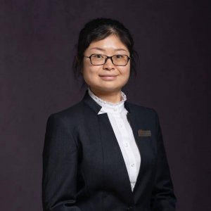 ​洪艳(洪艳是哪部电视剧里)