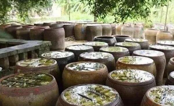 咸菜长白霉了还能吃吗,不能吃(吃了容易拉肚子)