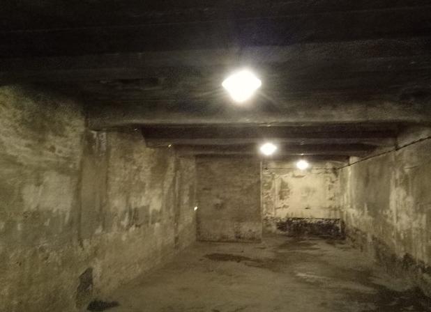 纳粹德国毒气室(纳粹灭绝营遗址)(2)