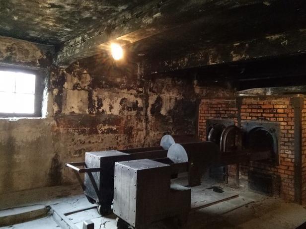 纳粹德国毒气室(纳粹灭绝营遗址)(3)