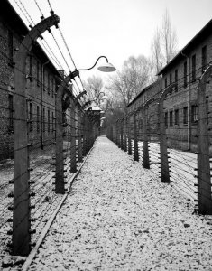 ​纳粹德国毒气室（纳粹灭绝营遗址）