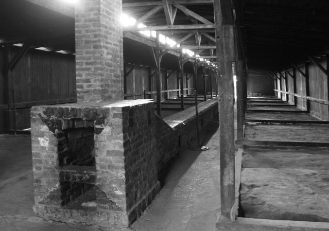 纳粹德国毒气室(纳粹灭绝营遗址)(5)