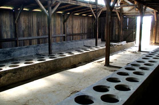 纳粹德国毒气室(纳粹灭绝营遗址)(4)