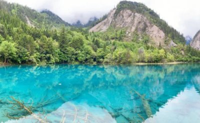 ​九寨沟今年接待游客突破50万人次 旅游市场已经复苏了吗？