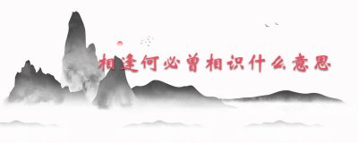 ​相逢何必曾相识什么意思