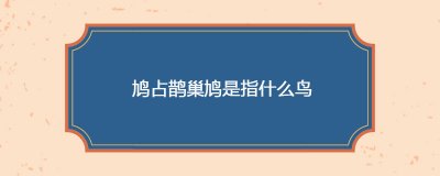 ​鸠占鹊巢鸠是指什么鸟