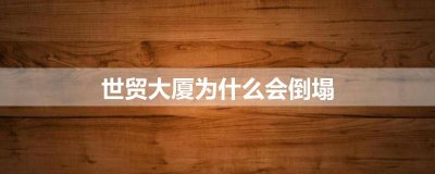 ​世贸大厦为什么会倒塌