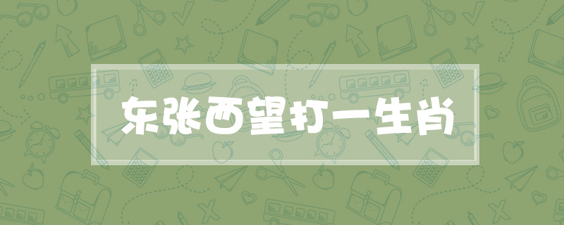 东张西望打一生肖