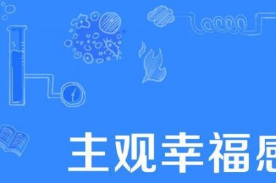 ​主观幸福感三个指标