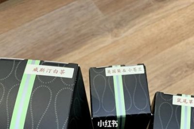 ​vasque是什么档次