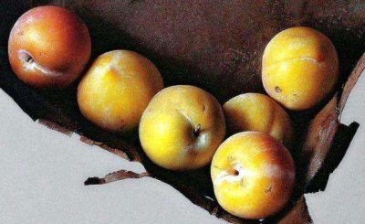 ​为什么李子里面有透明结晶