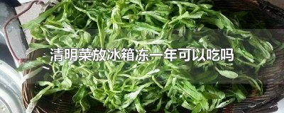 ​清明果放冰箱一年可以吃吗 冰箱里冷冻一年的菜能不能吃