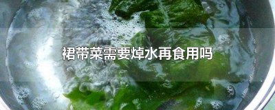 ​裙带菜用焯水么 裙带菜必须焯水吗