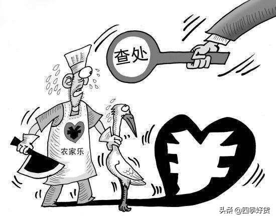 野鸡是几级野生保护动物（摇身一变成为国家二级保护动物）(5)