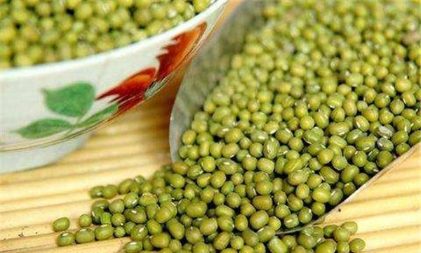 怎样辨别绿豆的好坏