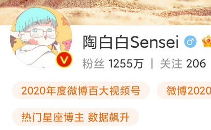 陶白白是什么意思?