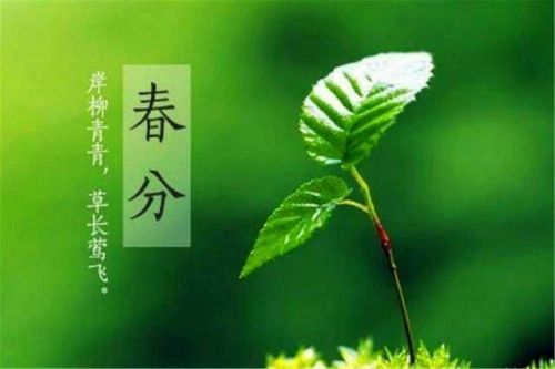 春分是什么意思 春分有什么含义?秋分是什么意思-第1张图片-