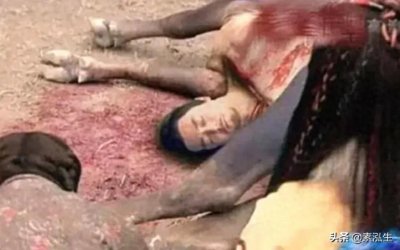 ​将濒死之人塞到牛肚子里竟能起死回生