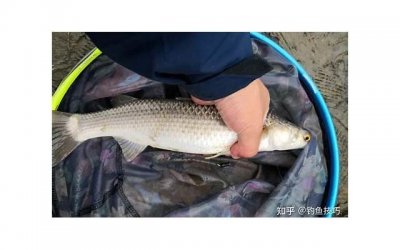 ​说说-最新心情不好的句子说说(精选39句)