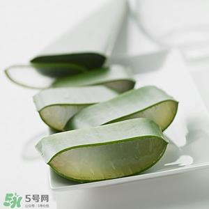 食用芦荟的吃法 芦荟的吃法大全 食用芦荟的吃法 芦荟的吃法大全