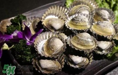 ​蚬子有寄生虫吗？黄蚬子有寄生虫吗？